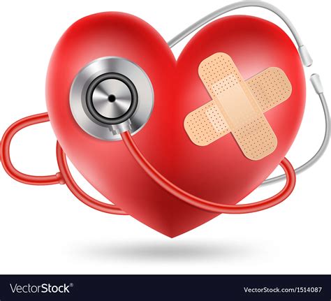 Heart Stethoscope Royalty Free Vector Image Vectorstock