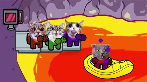 Among us para pc es un juego party multijugador para disfrutar con amigos, preparando una nave espacial, haciendo misiones secundarias. Among Us Lava dance animation Cats version - YouTube