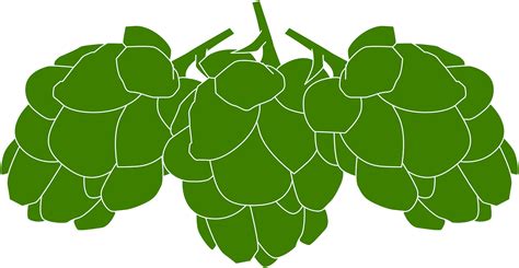 Hops Clipart Transparent Background Picture 1360311 Hops Clipart