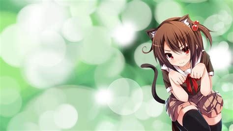 Anime Neko Wallpapers 61 Images