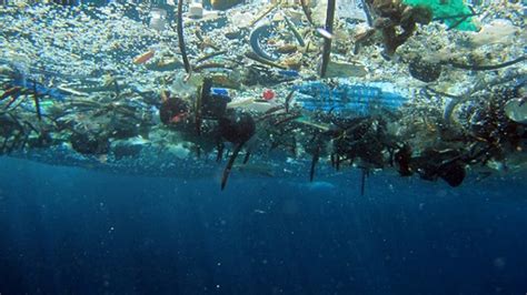 Plastic Ocean Pollution What Can We Do Inbrief E