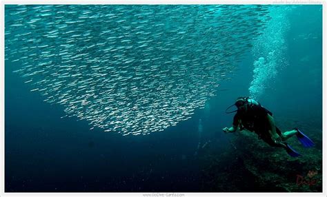 Scuba Diving With Go Dive Lanta Ko Lanta Krabi Thailand Diving