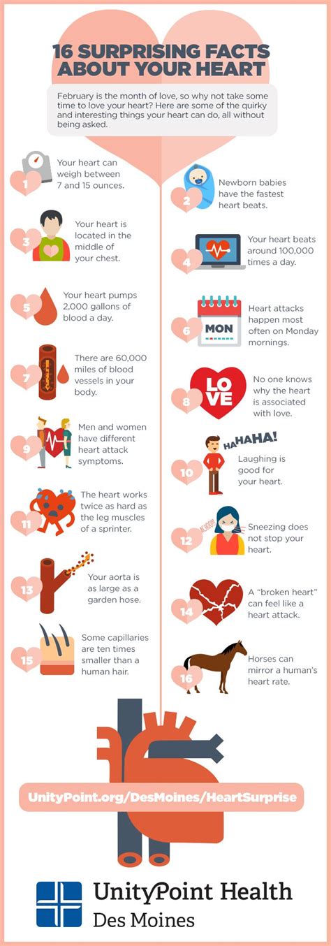 16 Surprising Facts About Your Heart Infographic Heart Infographic