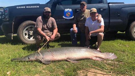 Oklahoma Man Catches Giant Alligator Gar On Lake Texoma