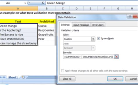 Excel Formula Data Validation Must Not Contain Excelchat Otosection