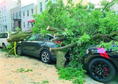 Five Dead In Us As Downgraded Storm Isaias Reaches Canada Read Qatar