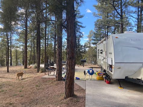 7 White Mountain Camping Spots To Experience Eastern Arizona