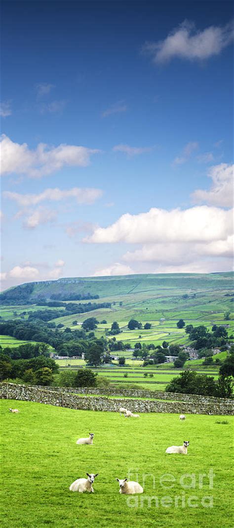 Wensleydale Yorkshire Dales England Photograph By Colin