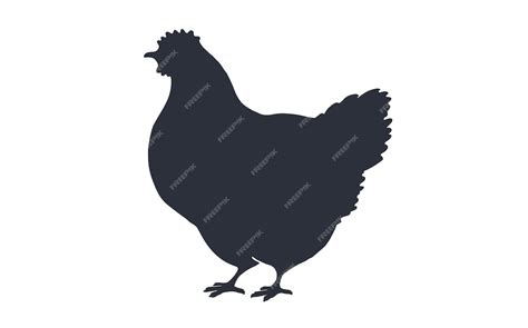 premium vector hen chicken black white silhouette chicken hen