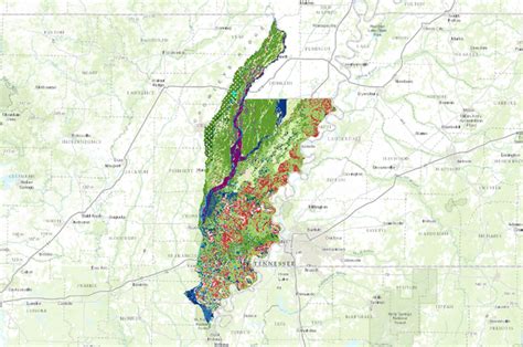 St Francis Basin Of Arkansas Potential Natural Vegetation Data Basin