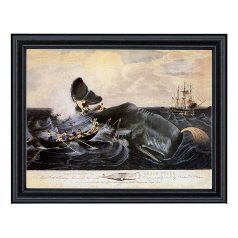 Capturing A Sperm Whale Print Behind Glass In Black Solid Wood Frame