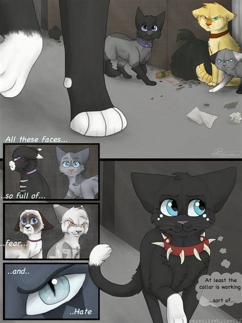 E O A R Page 55 By PaintedSerenity On DeviantArt Warrior Cats