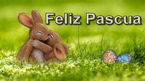 Felices Pascuas 5y4t7sdaoq0llm End The Hunt For The Perfect Felices