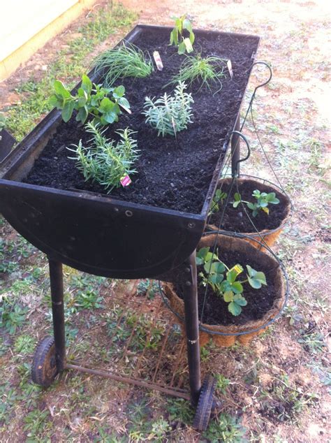 Planter We Made From The Old Grill Turned Out Great Pretty Gardens