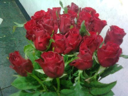 Lihat ide lainnya tentang bunga matahari, bunga, matahari. TOKO BUNGA BANDUNG - Nugraha Florist: Bunga Potong