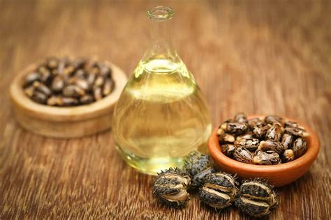 Castor Oil 5 Incredible Benefits You Should Know About Nutrafol