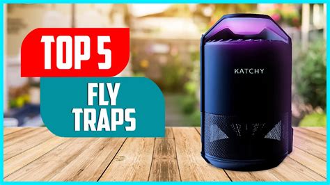 Best Fly Traps 2023 Top 5 Best Fly Traps For Outdoor Youtube
