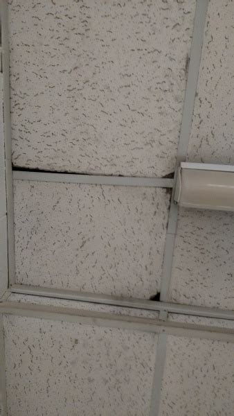 Well, the answer is simple. Asbestos Ceiling Tiles?!?!? - General DIY Discussions ...