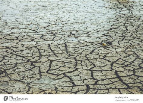 It Is Much Too Dry It Should Rain Again A Royalty Free Stock Photo