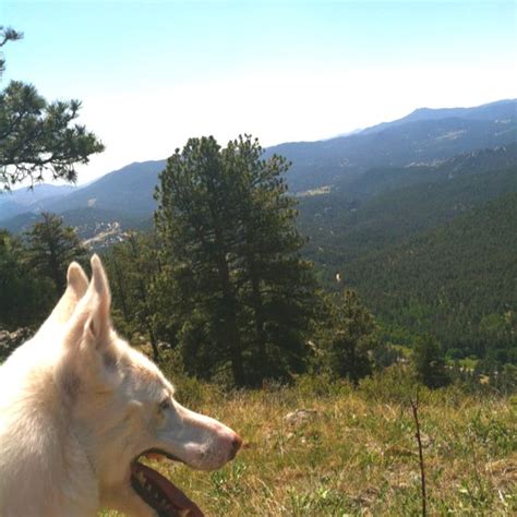 Make sure to call for him if he is not present when you enter the trunk of the great tree. Bergen Peak Evergreen, CO | Evergreen, Natural landmarks ...