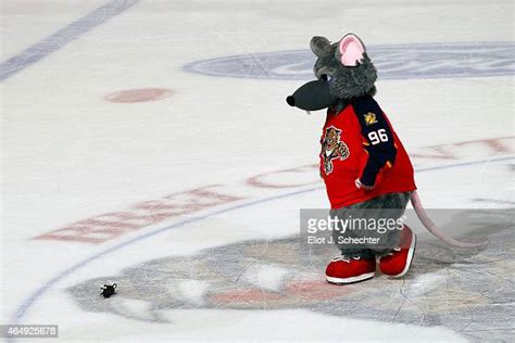Florida Panthers Mascot Viktor E Rat On The Ice After Their Win
