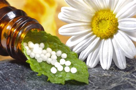 What Is Homeopathy Macmillan Dictionary Blog
