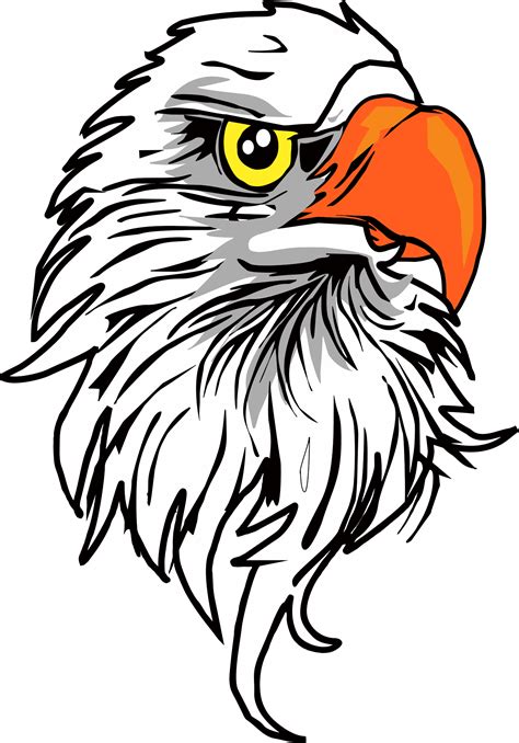 Eagle Vector Png Eagle Vector Png Transparent Free For Download On