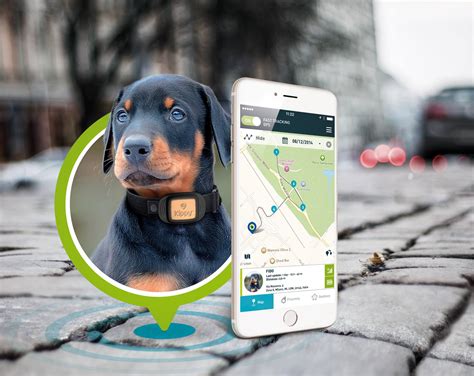 Kippy Pet Finder Gps Tracker Tracking Device For Dogs And Cats With Gps