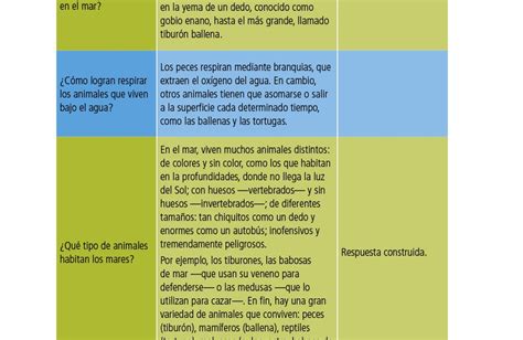 Check spelling or type a new query. Contestado Respuestas Del Libro De Español Tercer Grado Pagina 54 - Libros Famosos
