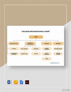 Sample College Organizational Chart Template In Google Docs Pages Pdf