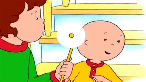 Caillou And The Spinner Caillou Cartoons For Kids Wildbrain