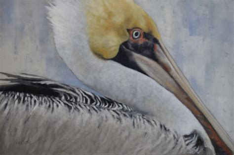 Brown Pelican Painting Wildlife Paintings Atlanta Artist Art