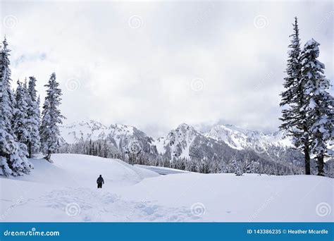 Man Walks Away Into Mountainous Snowy Wilderness Stock Image Image Of