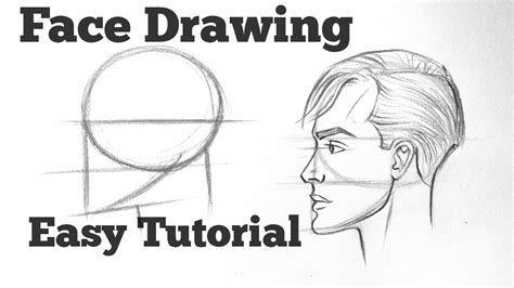 How To Draw A Side Face Viewmale Easy With Basics For Beginners Face