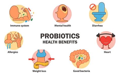 Probiotics Prebiotics And Health Benefits • Microbe Online