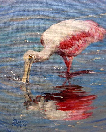 Roseate Spoonbill Pelican Art Animal Paintings Birds Painting