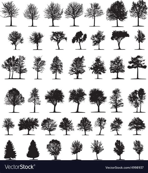 Silhouette Of Trees Royalty Free Vector Image Vectorstock