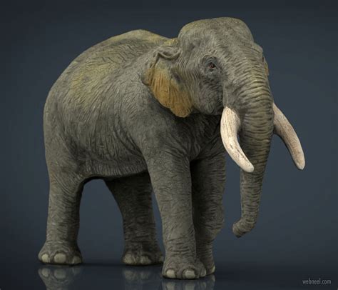 20 Realistic 3d Animal Models And Character Designs