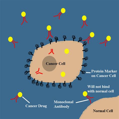 Cancer Treatment And Biotechnology Youmemindbody