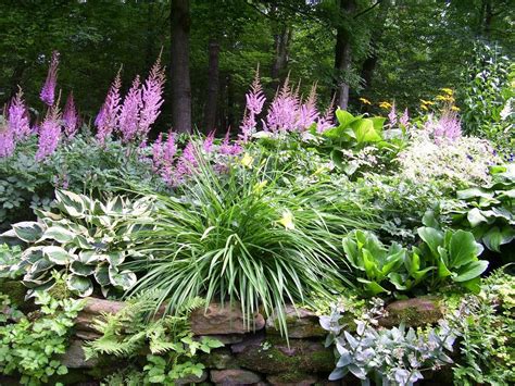51 Amazing Backyard Garden Designs Frieze Outstanding Astilbe Garde