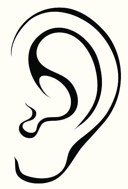 Human Ear Clip Art Vector Images And Illustrations Istock