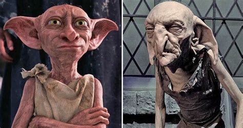 Harry Potter Spew And Other House Elf Scenes The Movies Didnt Show