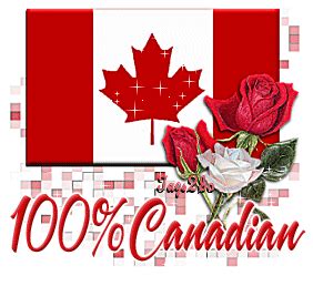 Happy canada day to all my old friends north of the border! LIFE --1 Hour At A Time!: HAPPY CANADA DAY!