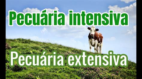 Vantagens E Desvantagens Da Pecuária Intensiva