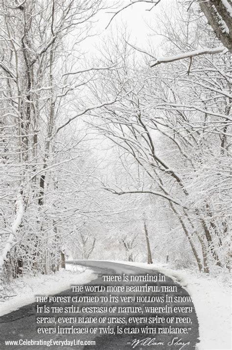 Beautiful Snow Inspiring Quote Celebrating Everyday Life With