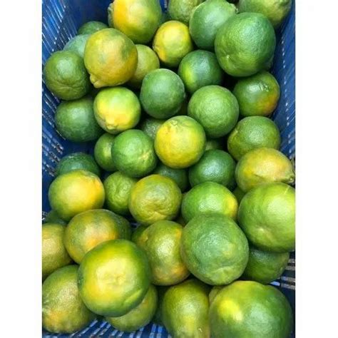 Maharashtra Fresh Oranges At Rs 70000metric Ton In Nagpur Id