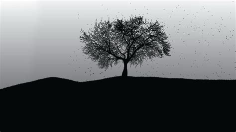 Tree Wallpaper Black And White Pixelstalknet