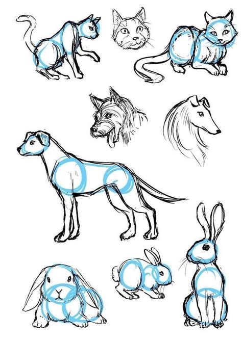 I was fairly uneasy before creating these cat drawings because i wasn't sure that i was going to be able to manage a credible it only takes one small thing to be incorrect and it throws the whole drawing out. how-to-draw-cats-dogs-rabbits-cute-things-to-draw-black ...