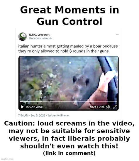 Great Moments In Gun Control Imgflip