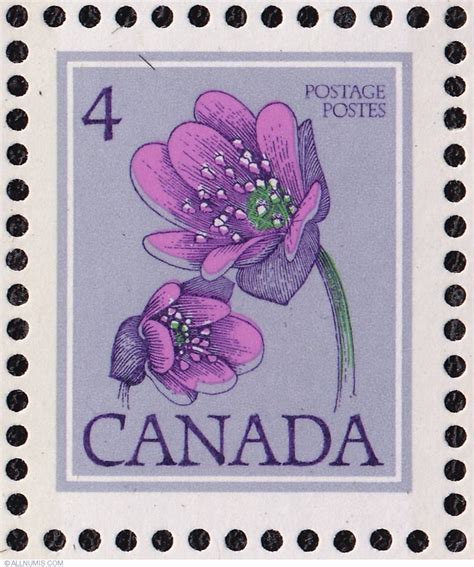Canadian Stamp Hepatica 1977 Postage Stamp Design Postage Stamps